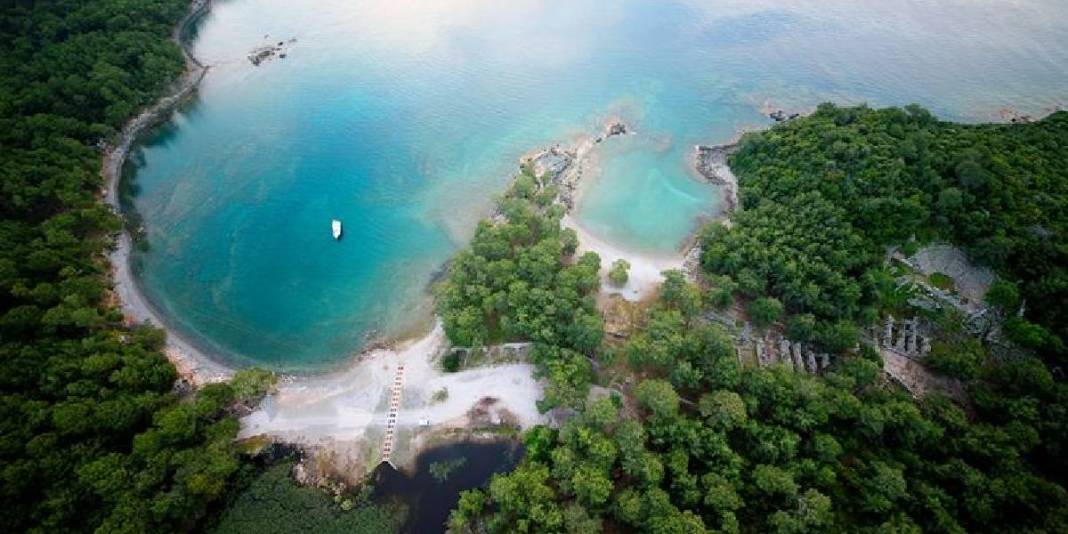 Burayı gören de duyan da Yunanistan’da sanıyor ama yanılıyor! Türkiye’nin gizli hazinesi: Ormanla denizin kucaklaştığı yer 7